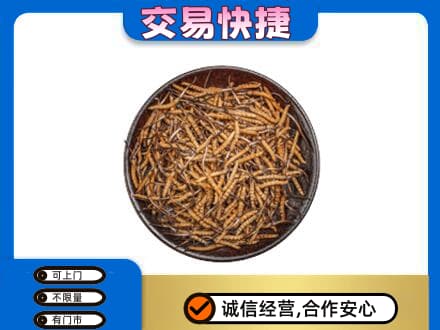 邯郸市成安高价回收散虫草