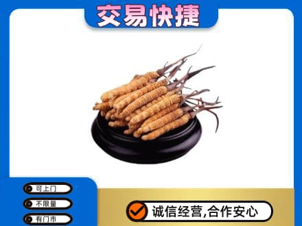 邯郸市成安礼品回收散虫草.jpg